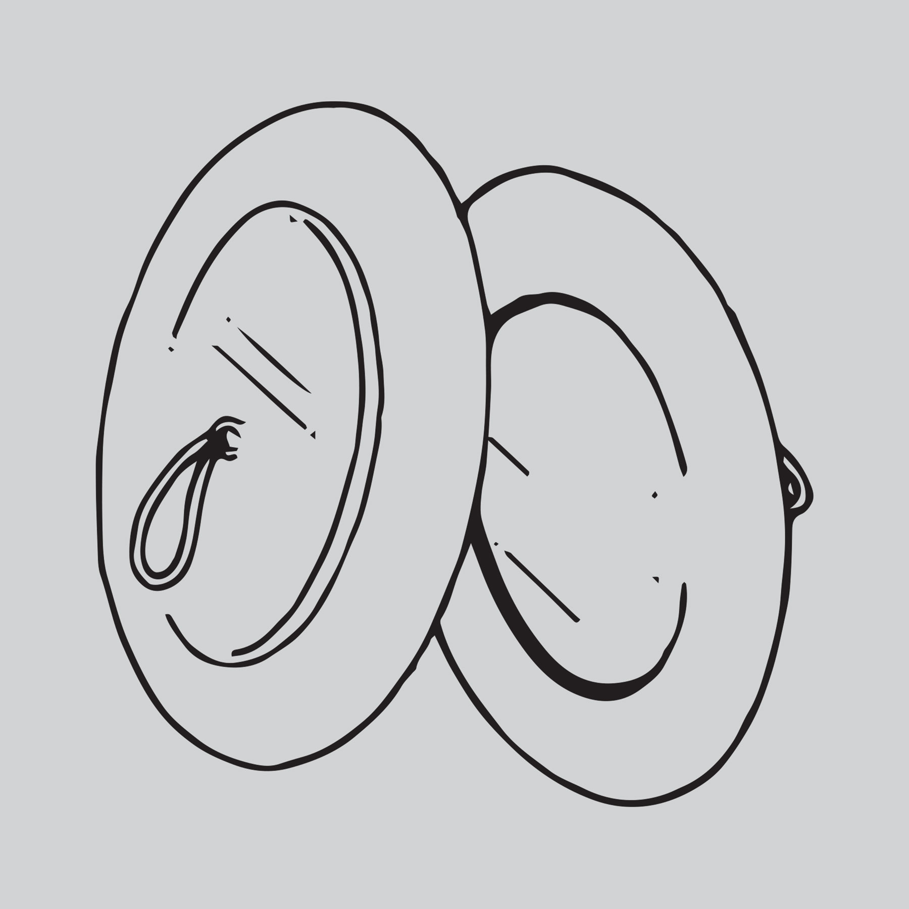 San Francisco Symphony Instruments Of The Orchestra