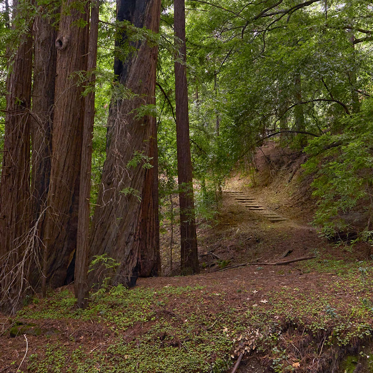 Poster for John Adams The Dharma at Big Sur